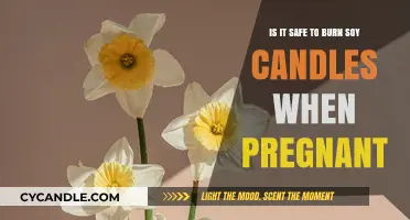 Pregnancy and Soy Candles: Are They a Safe Aromatic Choice?