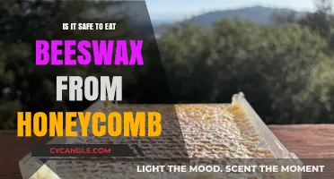Is Beeswax from Honeycomb Safe to Eat? Facts and Tips