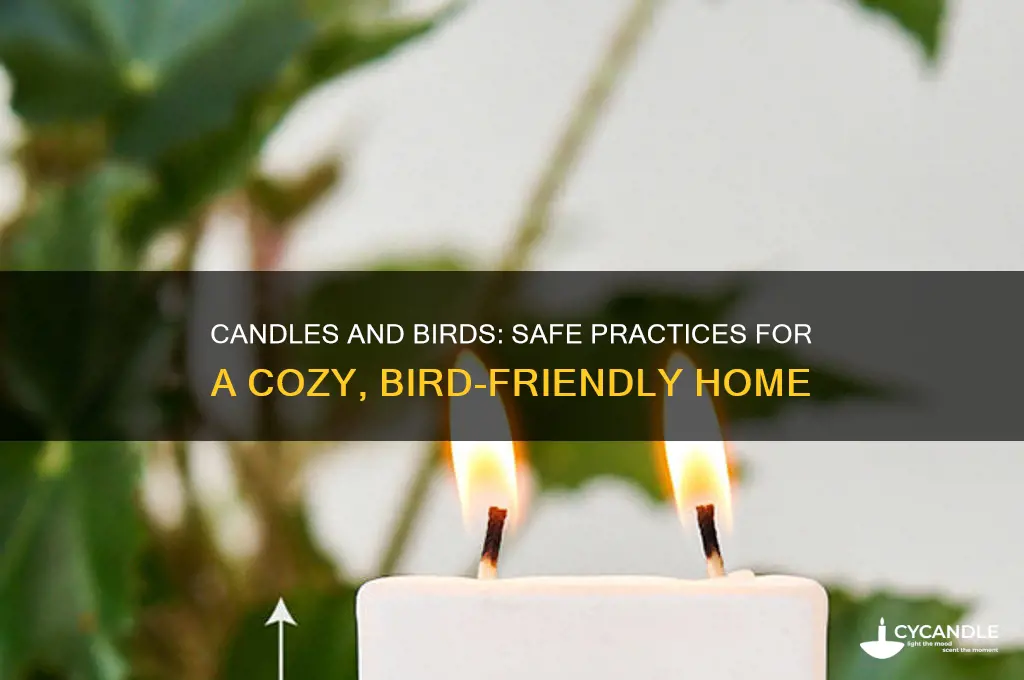 is it safe to light candles around birds