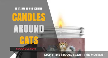 Are Scented Candles Safe for Cats? What Pet Owners Should Know
