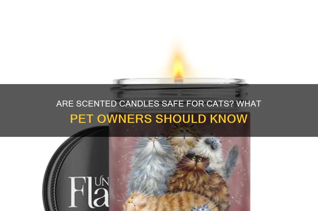 is it safe to use scented candles around cats