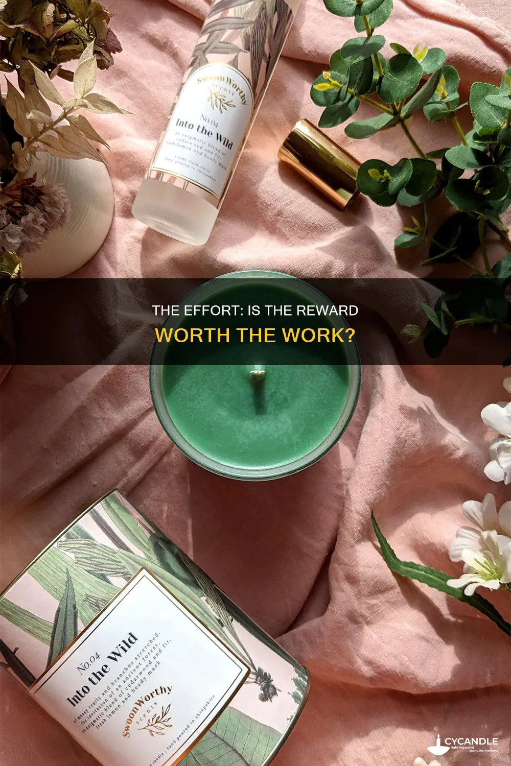 is it worth the candle