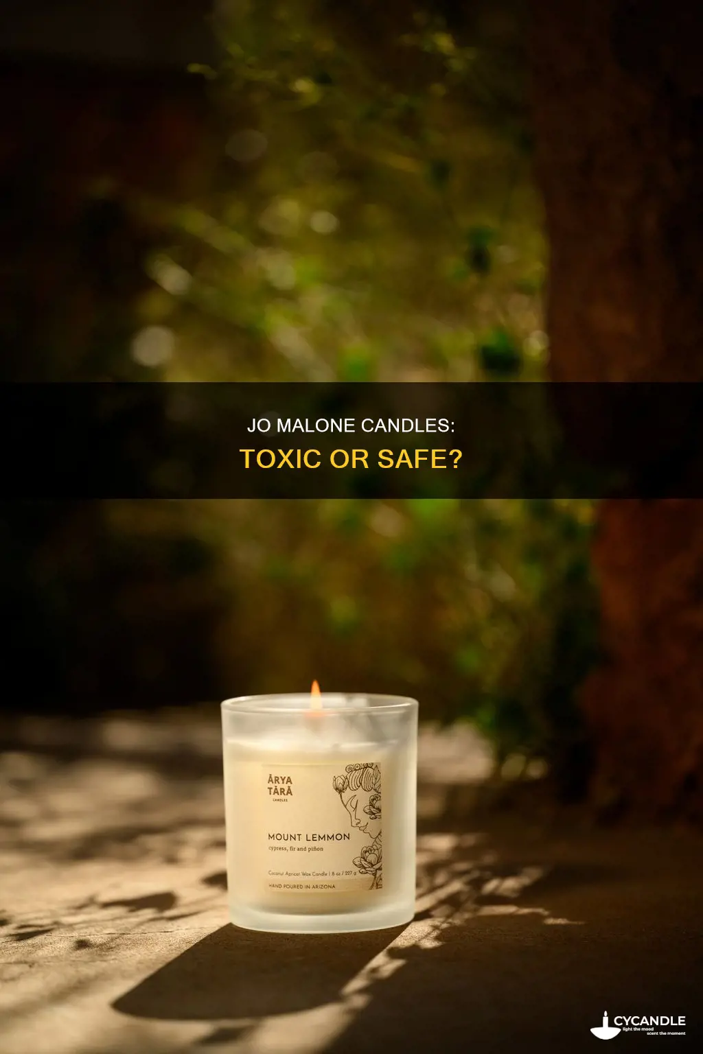 is jo malone candle toxic