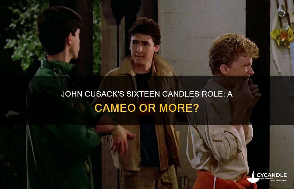 is john cusack in sixteen candles