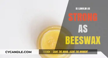 Lanolin vs Beeswax: Which Natural Wax is Stronger?