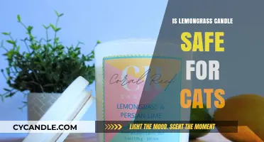 Is Lemongrass Candle Safe for Cats? Essential Oils and Pets