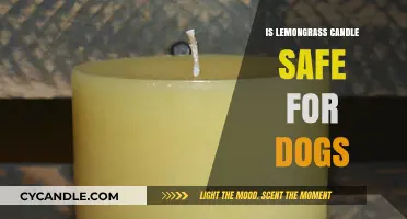 Is Lemongrass Candle Safe for Dogs? A Pet Owner's Guide