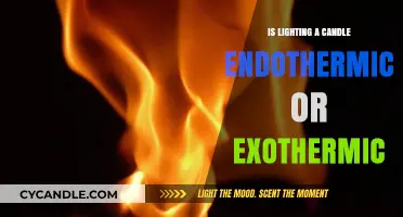 Candle Chemistry: Unveiling the Exothermic Nature of Lighting a Wick