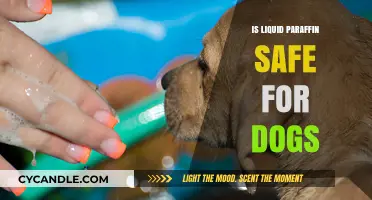 Is Liquid Paraffin Safe for Dogs? Facts and Precautions