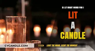 The Right Word: "Lit" or "Light"?