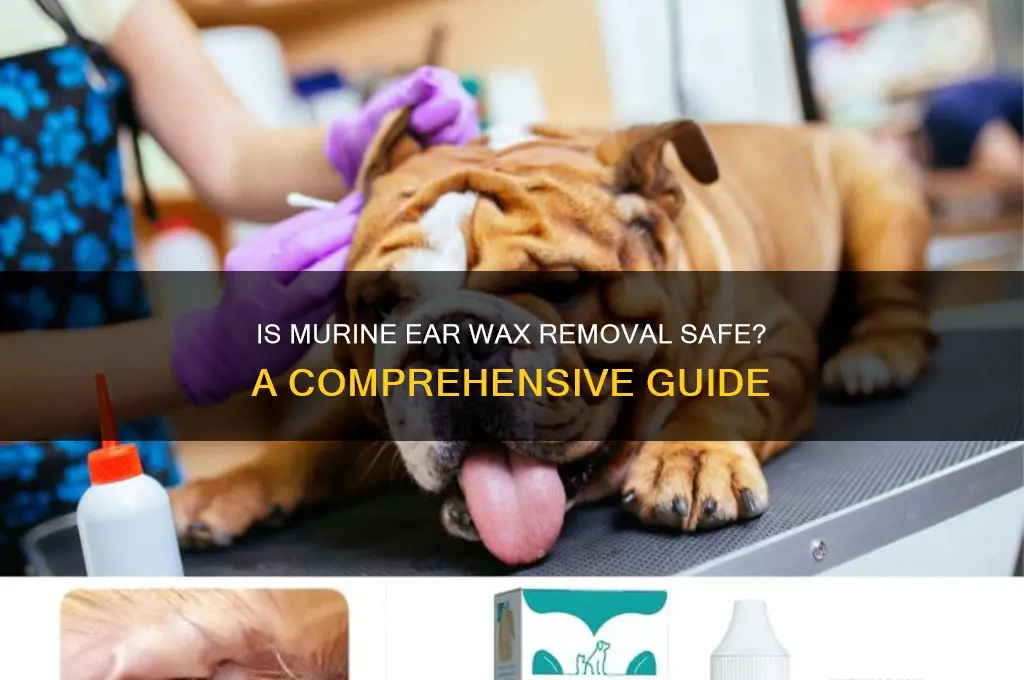 is murine ear wax removal safe
