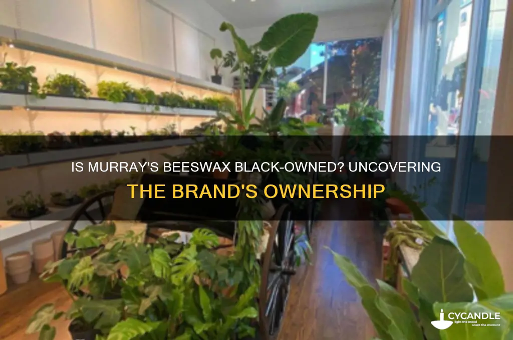 is murray