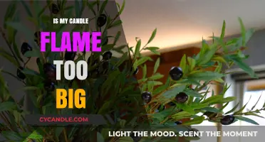 Large Candle Flames: What's the Problem?