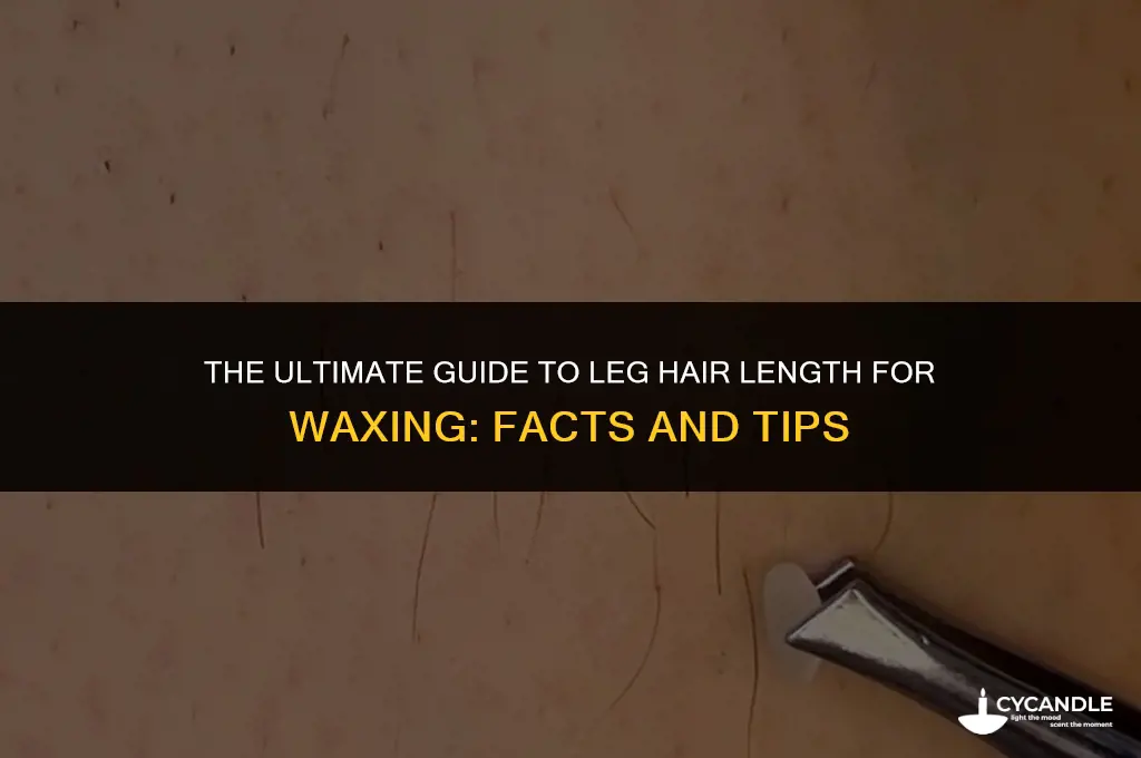 is my leg hair long enough to wax