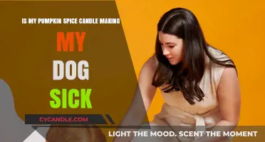 Pumpkin Spice Candles: Toxic Treats for Your Dog?