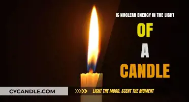 Nuclear Energy vs. Candlelight: Power, Sustainability, and Future Illumination