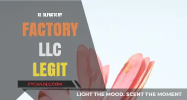 Olfactory Factory LLC: Legit or a Scam?