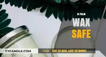 Exploring the Safety and Sustainability of Palm Wax