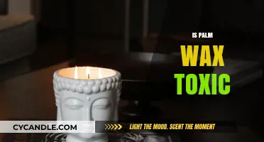 Unveiling the Truth: Is Palm Wax Toxic to Humans and the Environment?