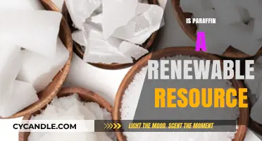 Is Paraffin Sustainable? Exploring Its Renewable Resource Potential