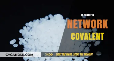 Understanding Paraffin Networks: Covalent or Not? A Detailed Analysis