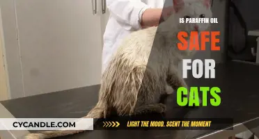 Is Paraffin Oil Safe for Cats? A Comprehensive Safety Guide
