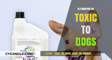 Is Paraffin Oil Safe for Dogs? Toxicity Risks Explained