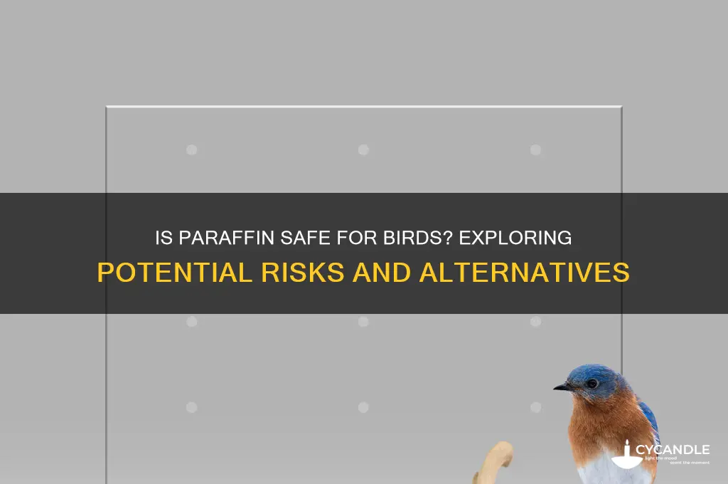 is paraffin safe for birds