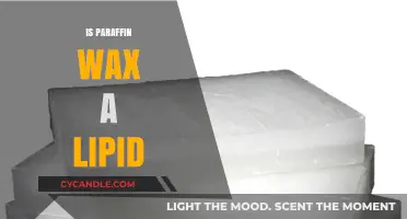 Is Paraffin Wax a Lipid? Unraveling the Chemical Truth