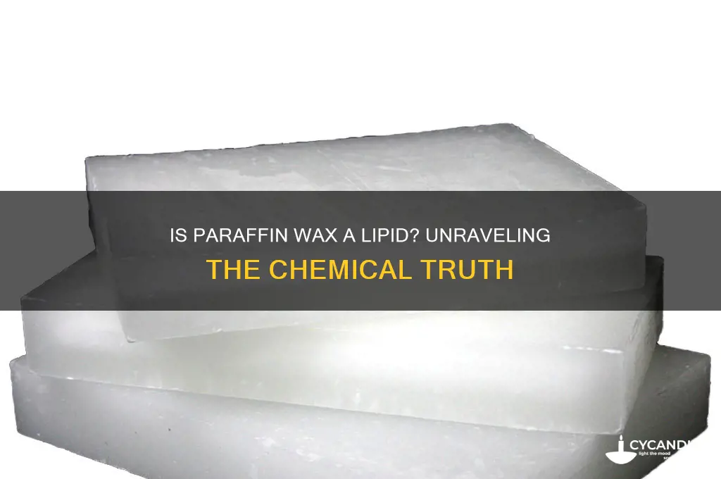 is paraffin wax a lipid