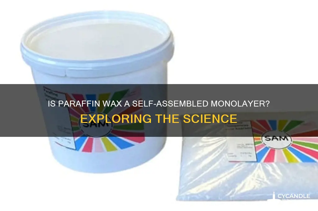 is paraffin wax a type of self assembled monolayer