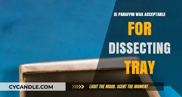 Is Paraffin Wax Suitable for Dissecting Trays? Pros and Cons