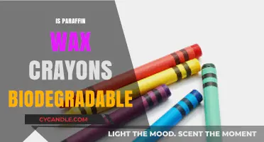 Are Paraffin Wax Crayons Eco-Friendly? Biodegradability Explained
