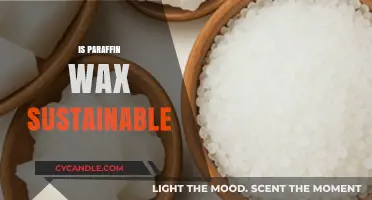 Is Paraffin Wax Eco-Friendly? Exploring Its Sustainability and Alternatives