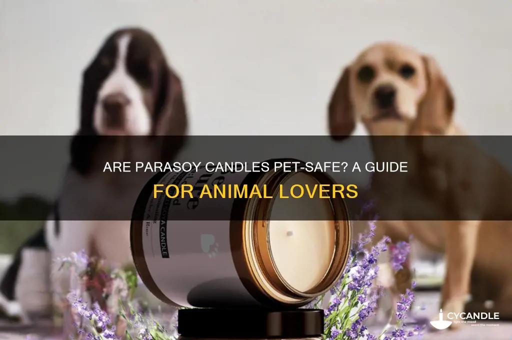 is parasoy candles safe for animals