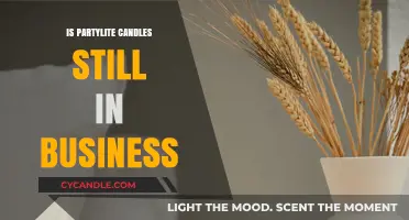 Partylite Candles: Still Burning Strong?