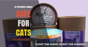 Are Patchouli Candles Safe for Cats? Essential Pet Safety Tips