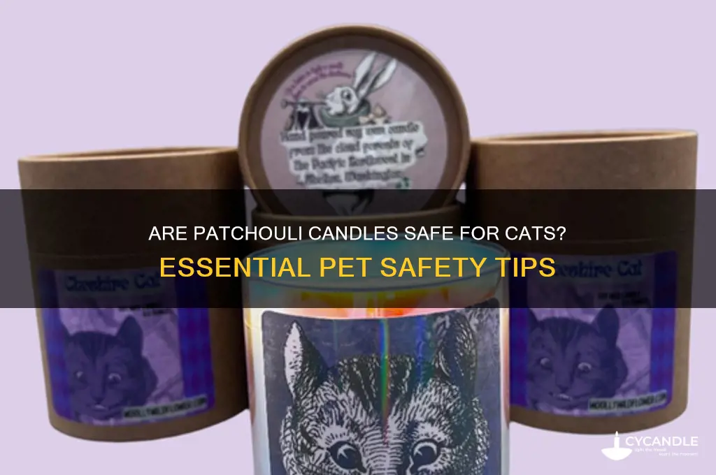 is patchouli candle safe for cats