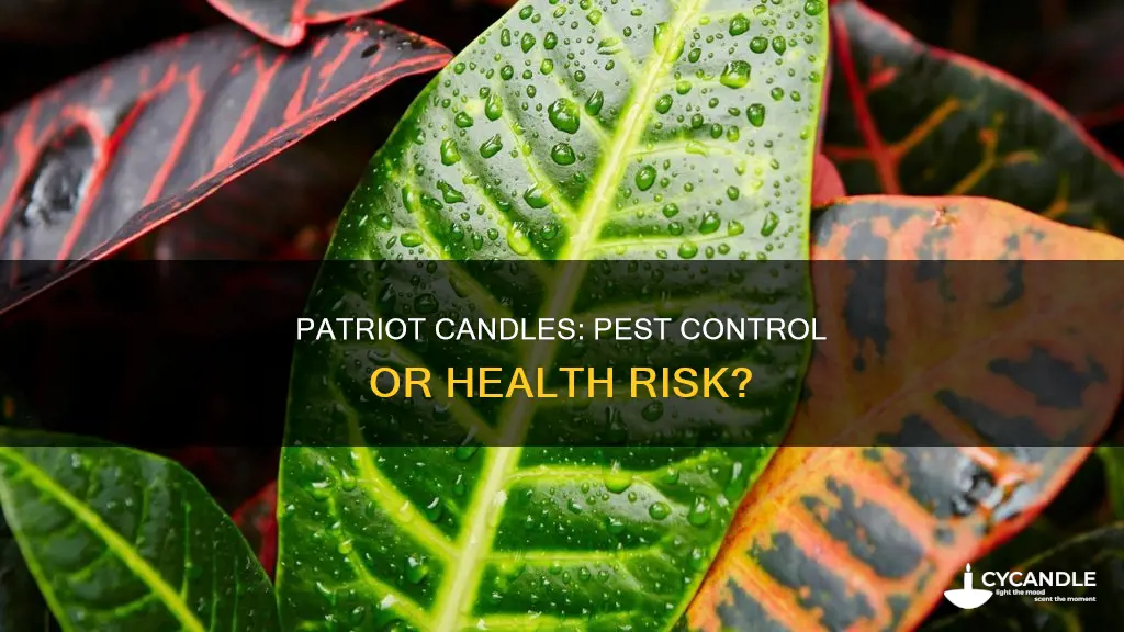 is patriot candle an indoor pesticide