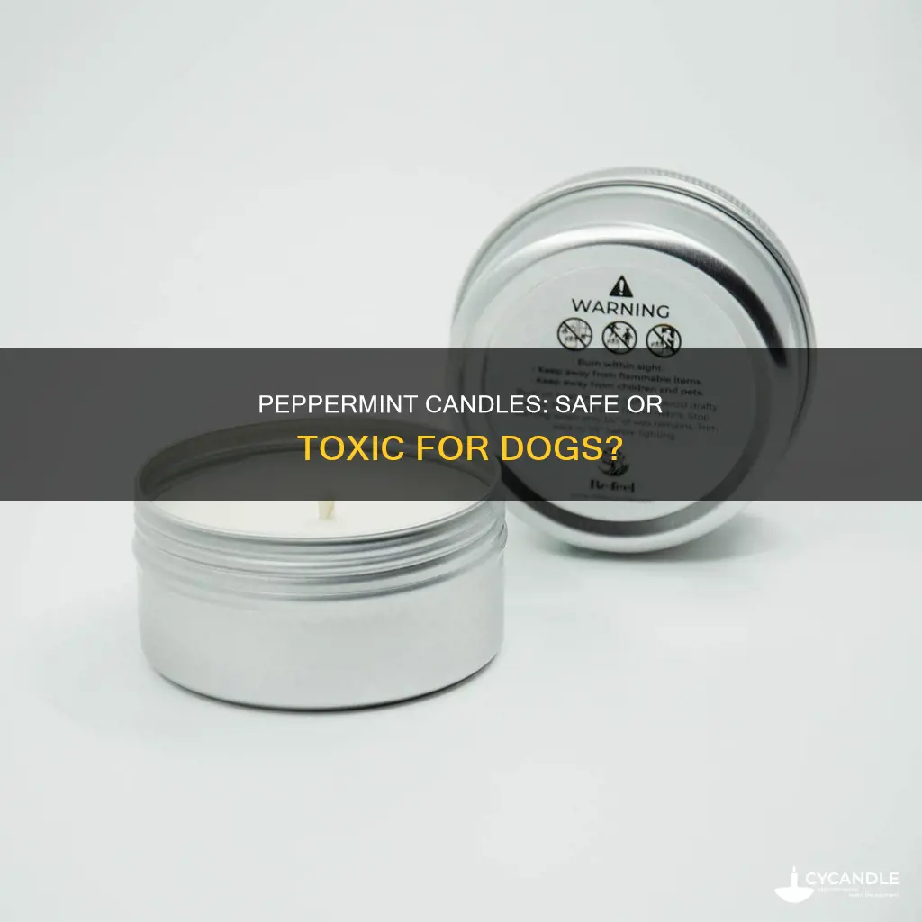 is peppermint candles bad for dogs
