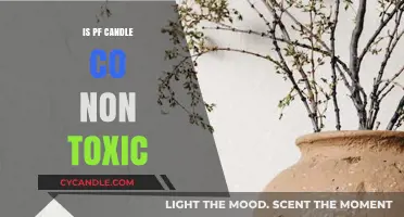 PF Candle Co: Natural Scents, Safe for Your Home