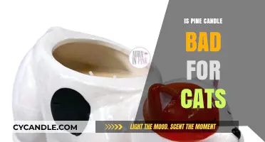 Pine Candle: A Cat Owner's Concern?