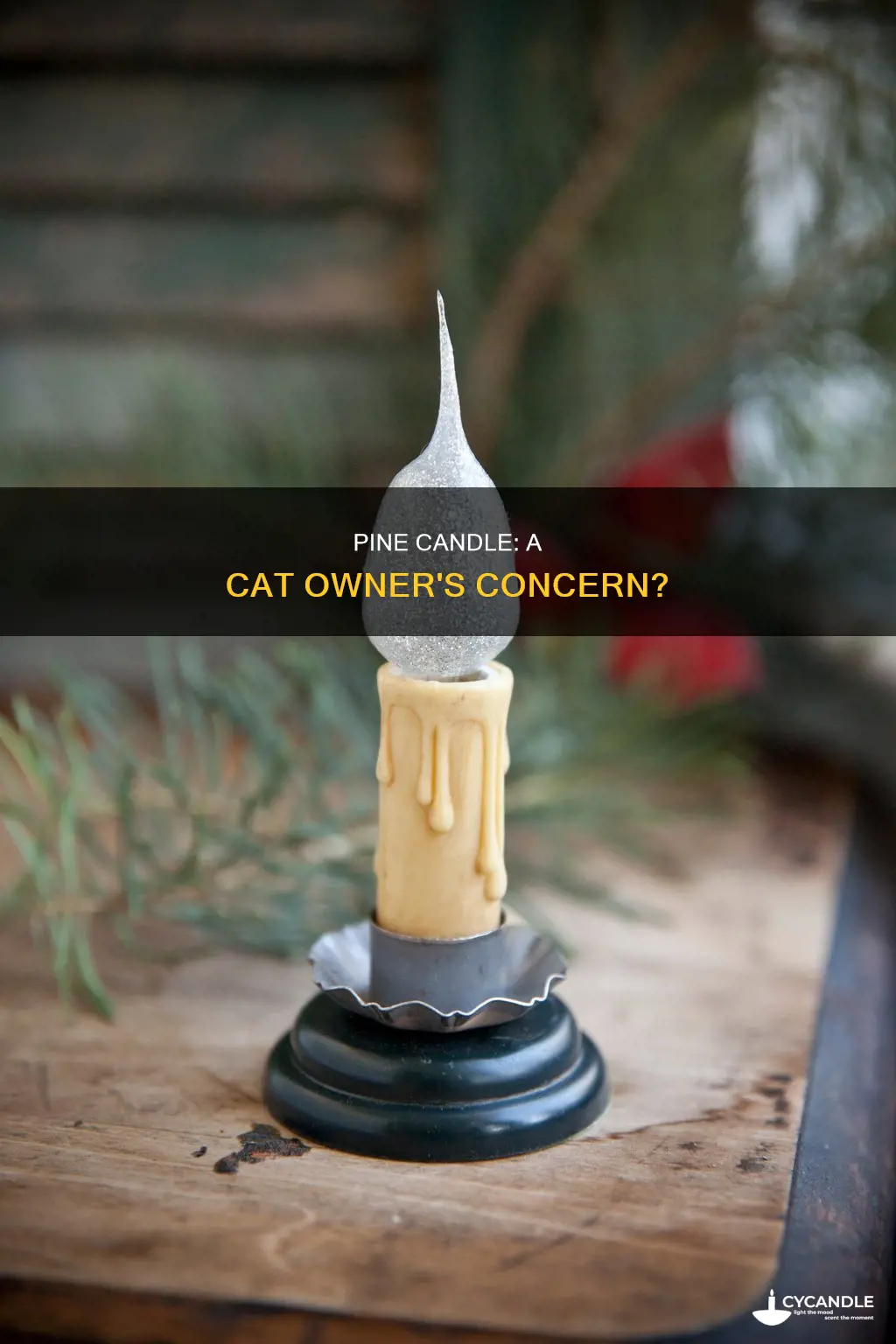 is pine candle bad for cats