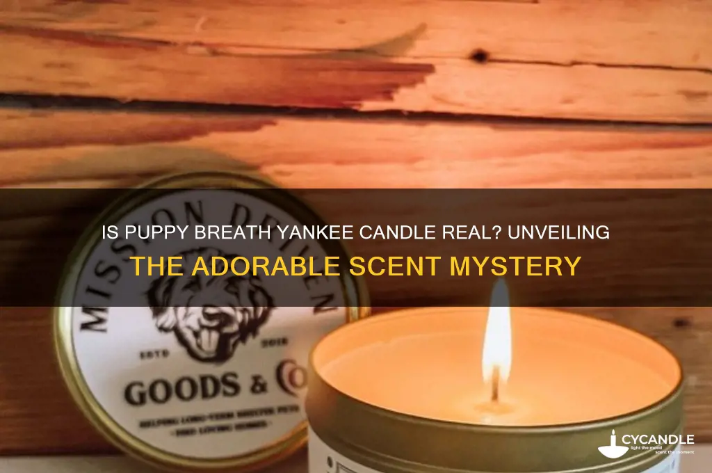 is puppy breath yankee candle real