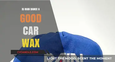 Reviving Shine: The Rain Dance Car Wax Review
