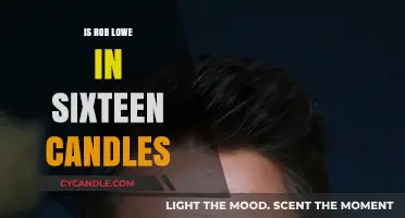 Rob Lowe's Sixteen Candles Cameo: A Career Spark