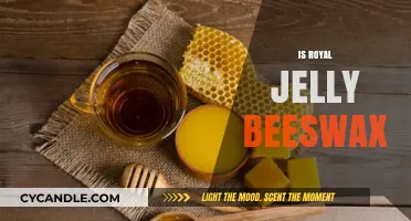 Royal Jelly vs. Beeswax: Unraveling the Buzzing Differences