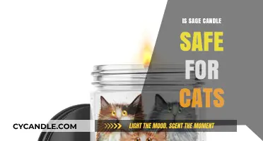 Are Sage Candles Safe for Cats? A Pet Owner's Guide