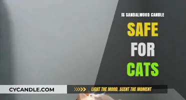 Are Sandalwood Candles Safe for Cats? Essential Pet Safety Tips