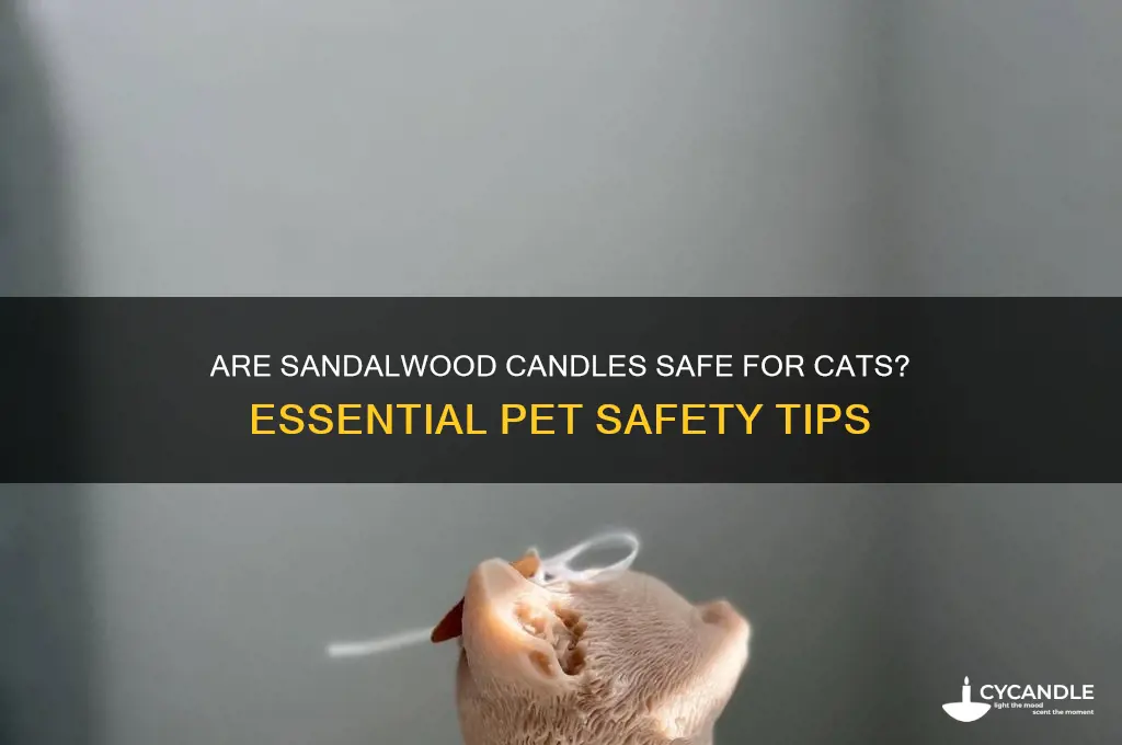 is sandalwood candle safe for cats